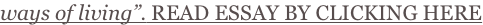 shapeimage_4_link_2